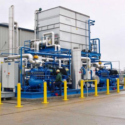 35Kg/H Co2 Makine Machine